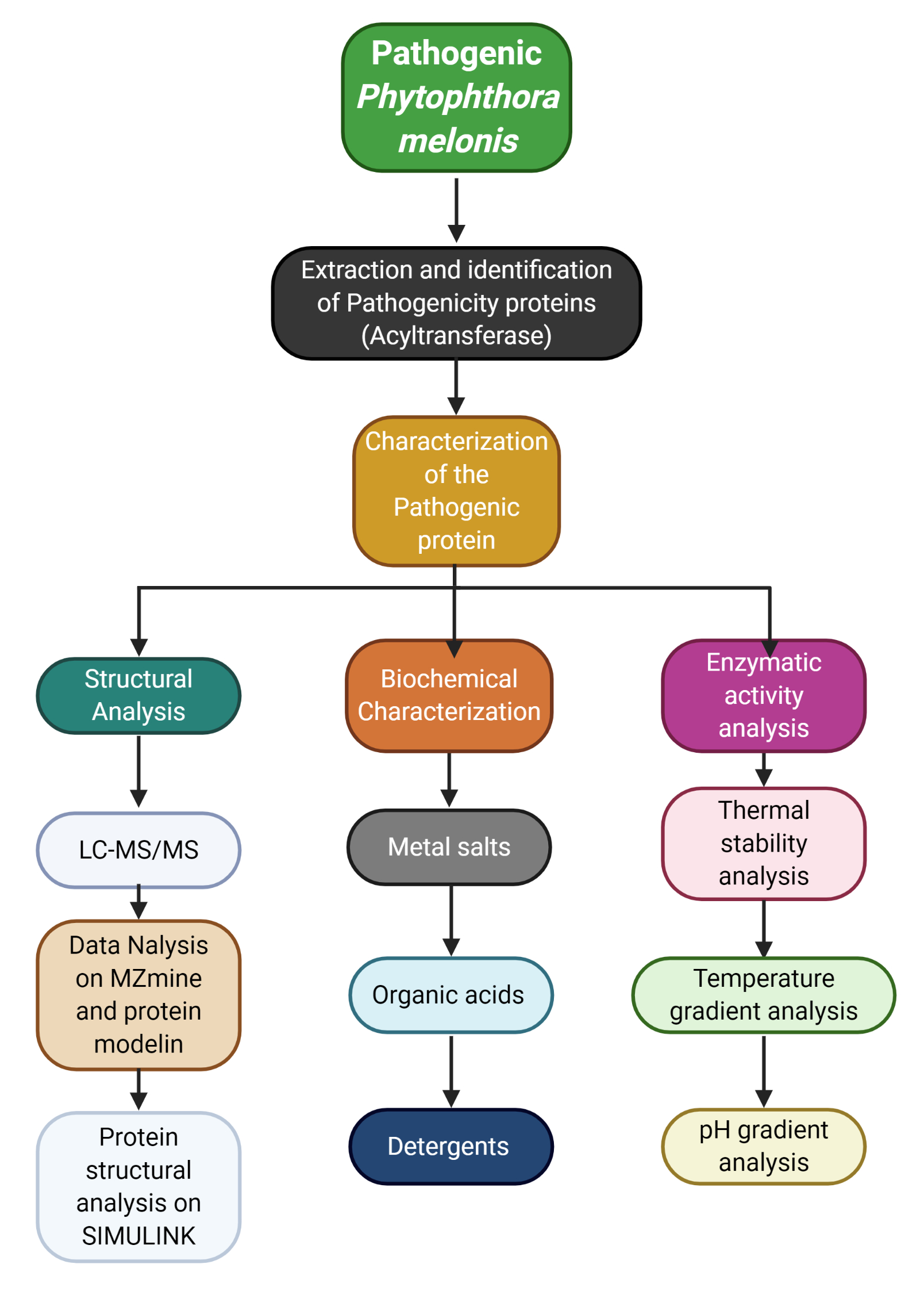 Tryptic Digested Protein Transglutaminase Elicitor Can Improve Plant Physiological Parameters: A Computational Approach to Insight Molecular Interactions